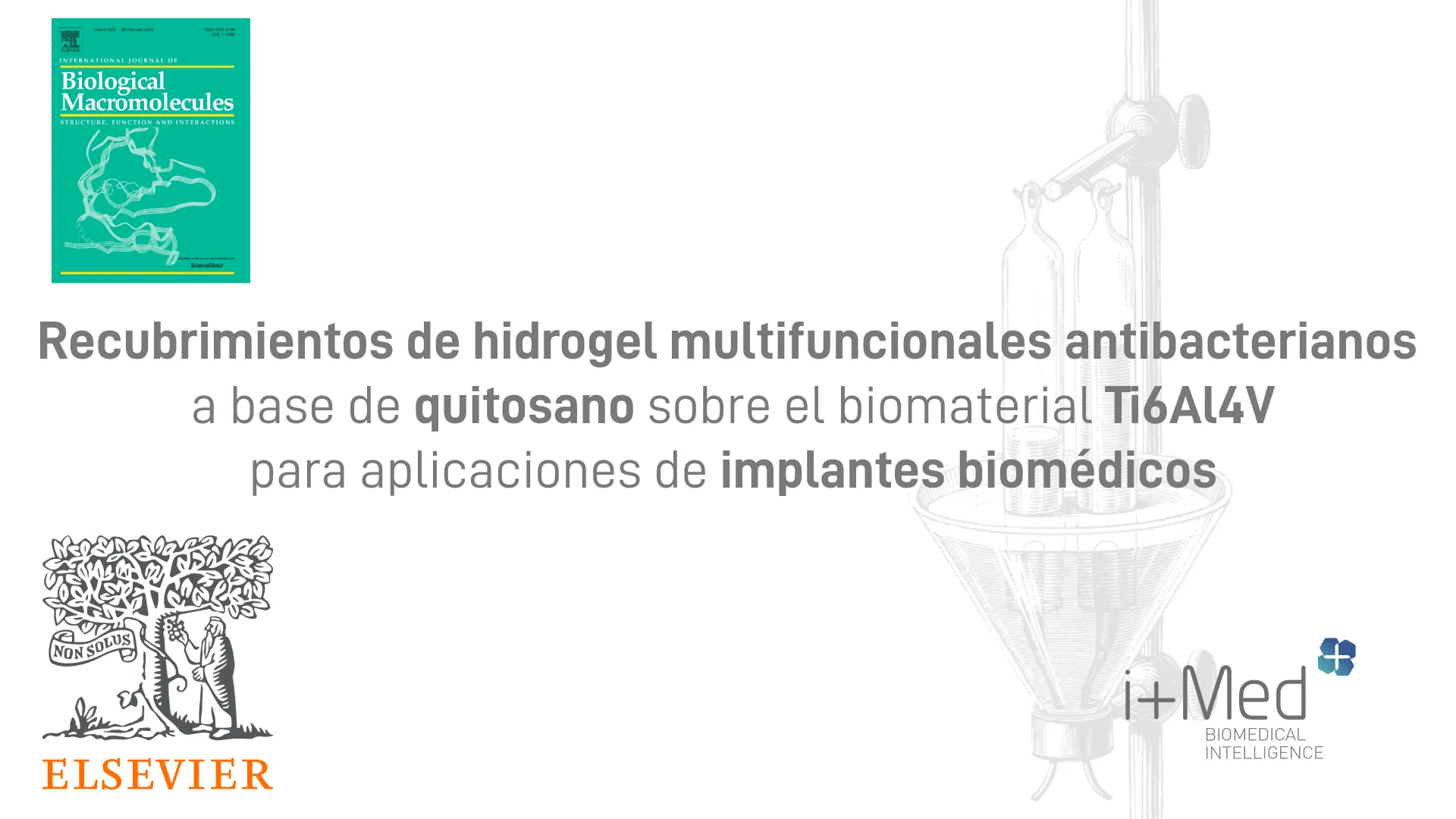 PORTAD2.png
