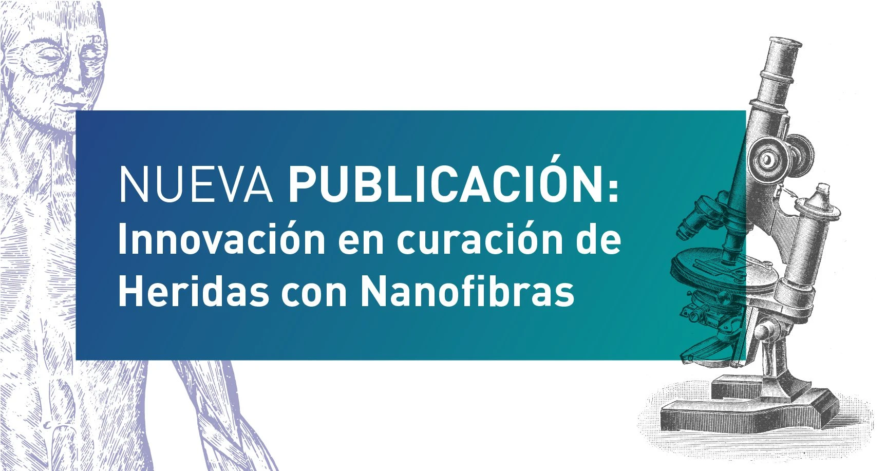 Nanofibras.jpg