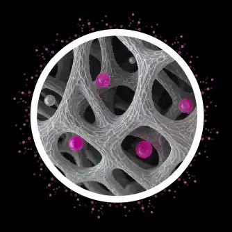 Imagen de IMG TECNOLOGIA NANOHYDROGEL AT 4 11zon