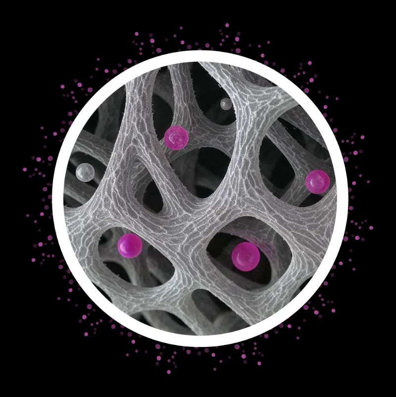 Hidrogeles en escala nanométrica.