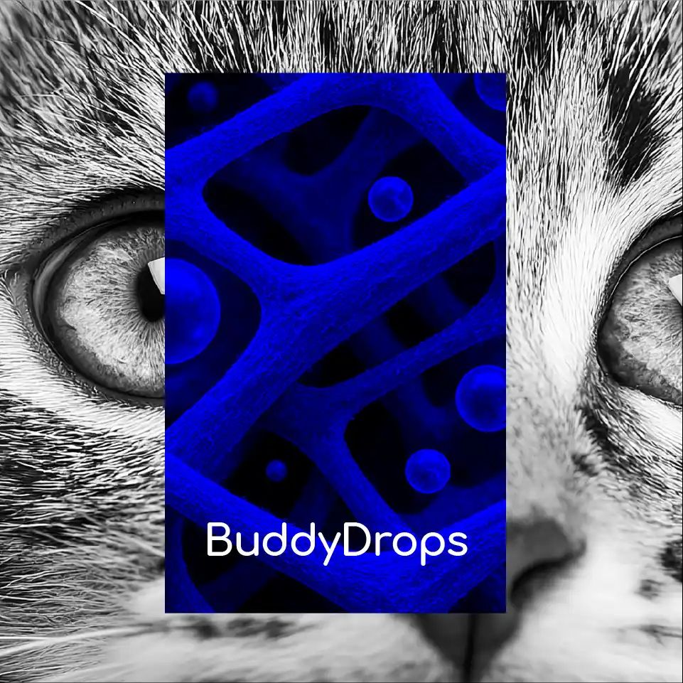 Imagen de IMG BUDDYDROPS AT 10 11zon