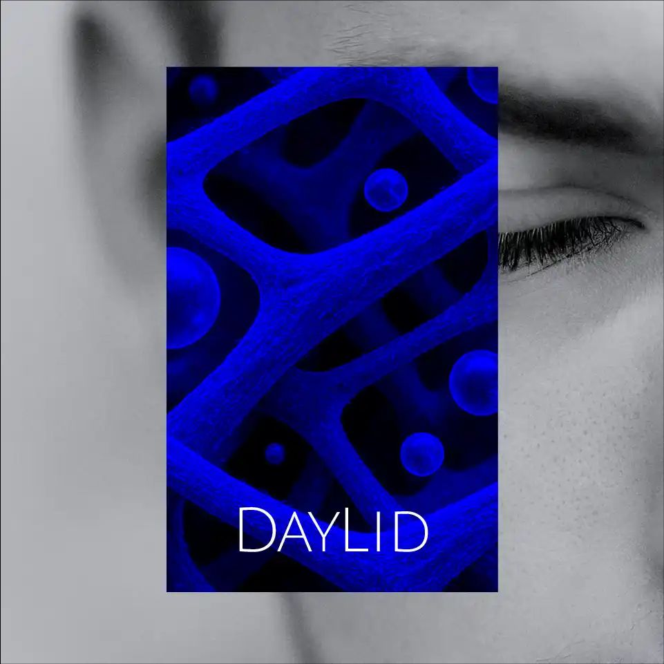 Imagen de IMG DAYLID AT 12 11zon