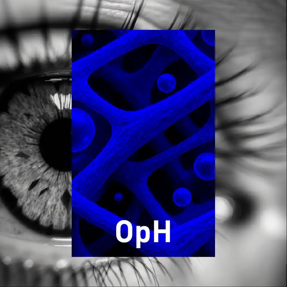 Imagen de IMG OpH AT 16 11zon