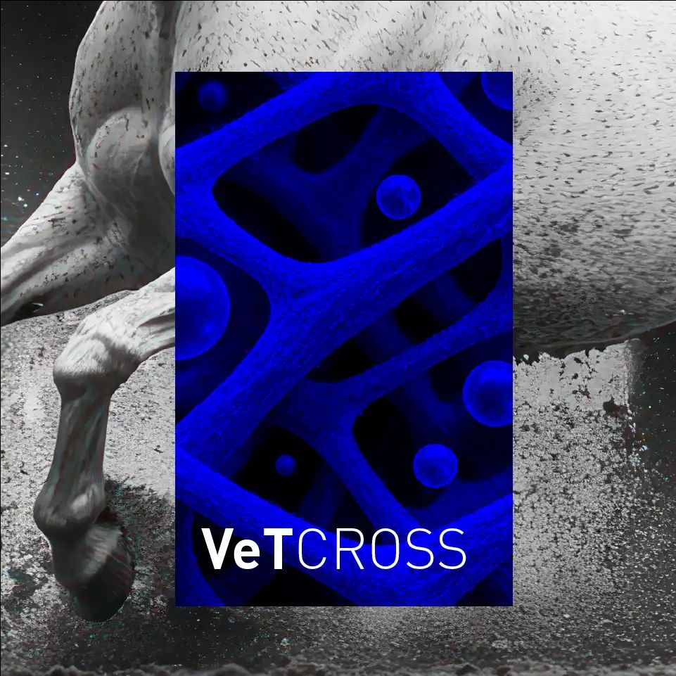 Imagen de IMG VETCROSS AT 5 11zon