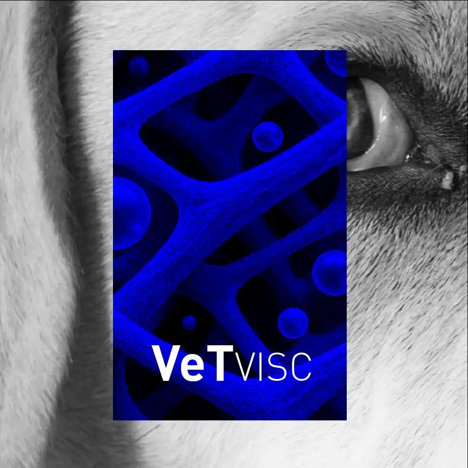 Imagen de IMG VETVISC AT 6 11zon
